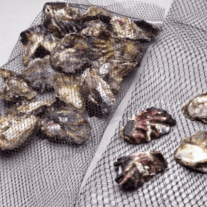 Venet Heavy Duty Oyster Bags