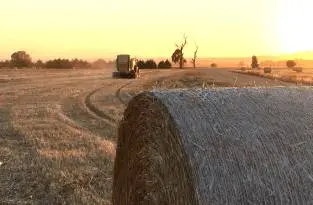 Crop Packaging